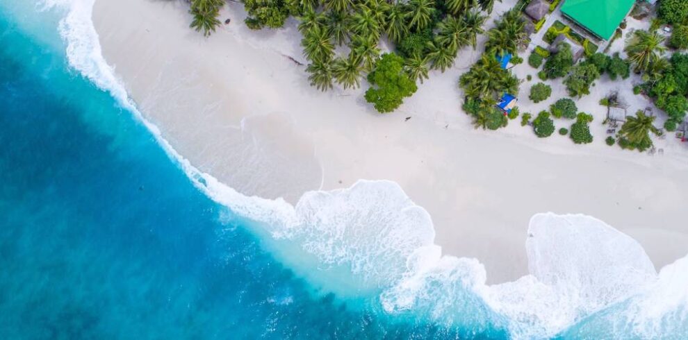 Shifaaz Shamoon Rl9l9mL6Pvs Unsplash 990x490